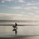 A person walking a dog on a beach in New Zealand.