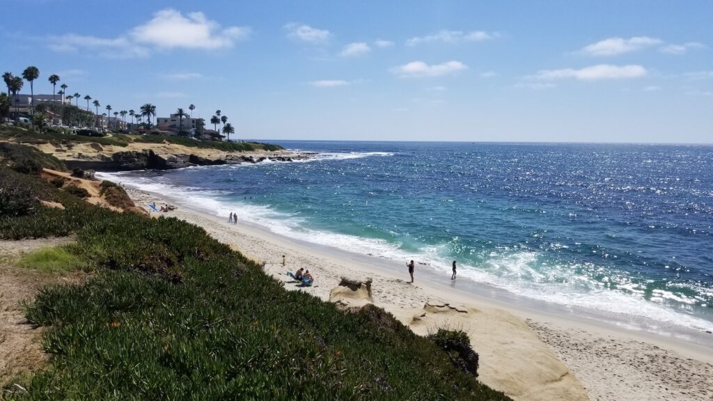 A drone view of the La Jolla Shores Beach San Diego
