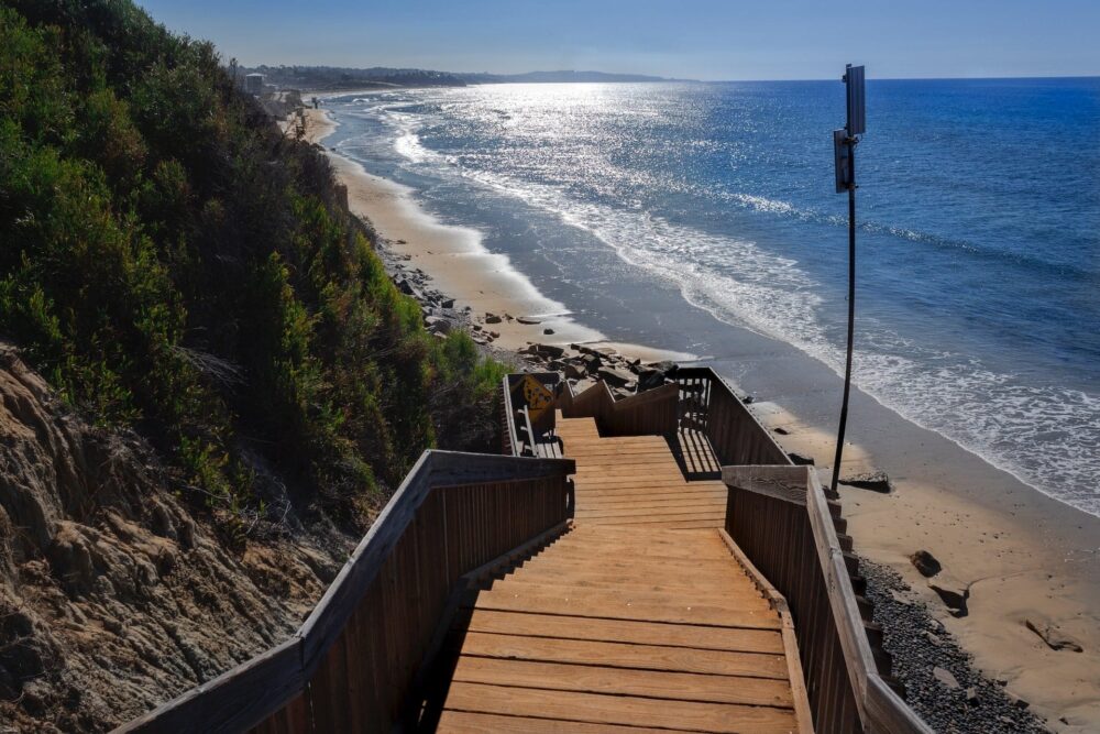 13 Best Dog Friendly Beaches in San Diego