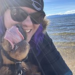 moving abroad with pets