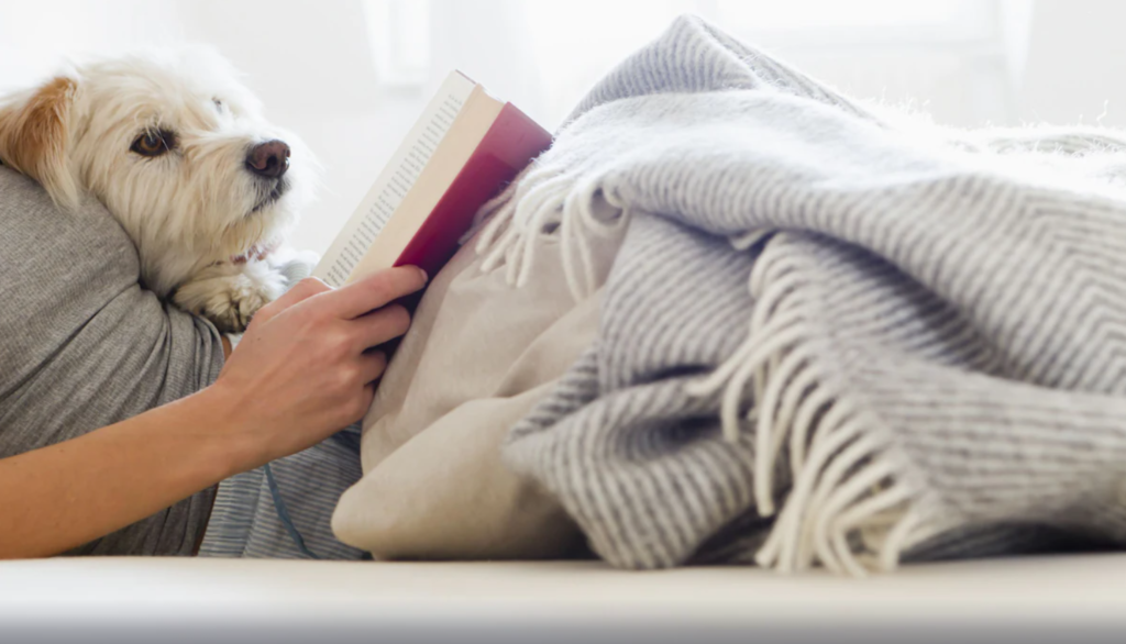 white furry dog laying with owner while she is reading a red book while they are under the blanket at a hotel room in Kimpton Alma San Diego