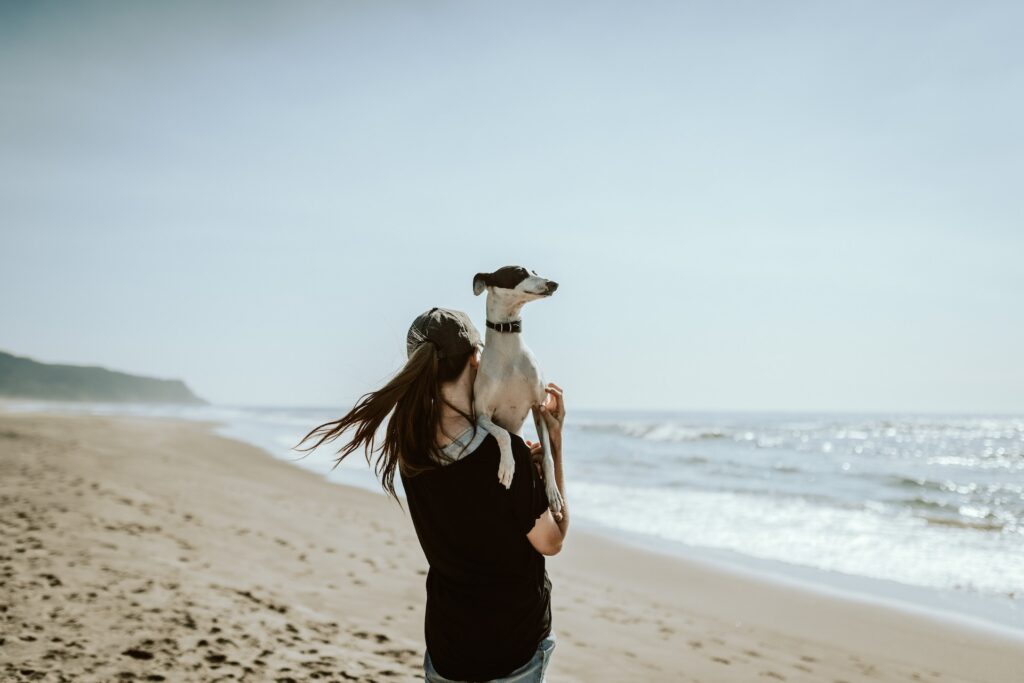 woman with long ponytail carrying a black and white dog whila walking at Little Dume Beach a dog friendly beach in malibu